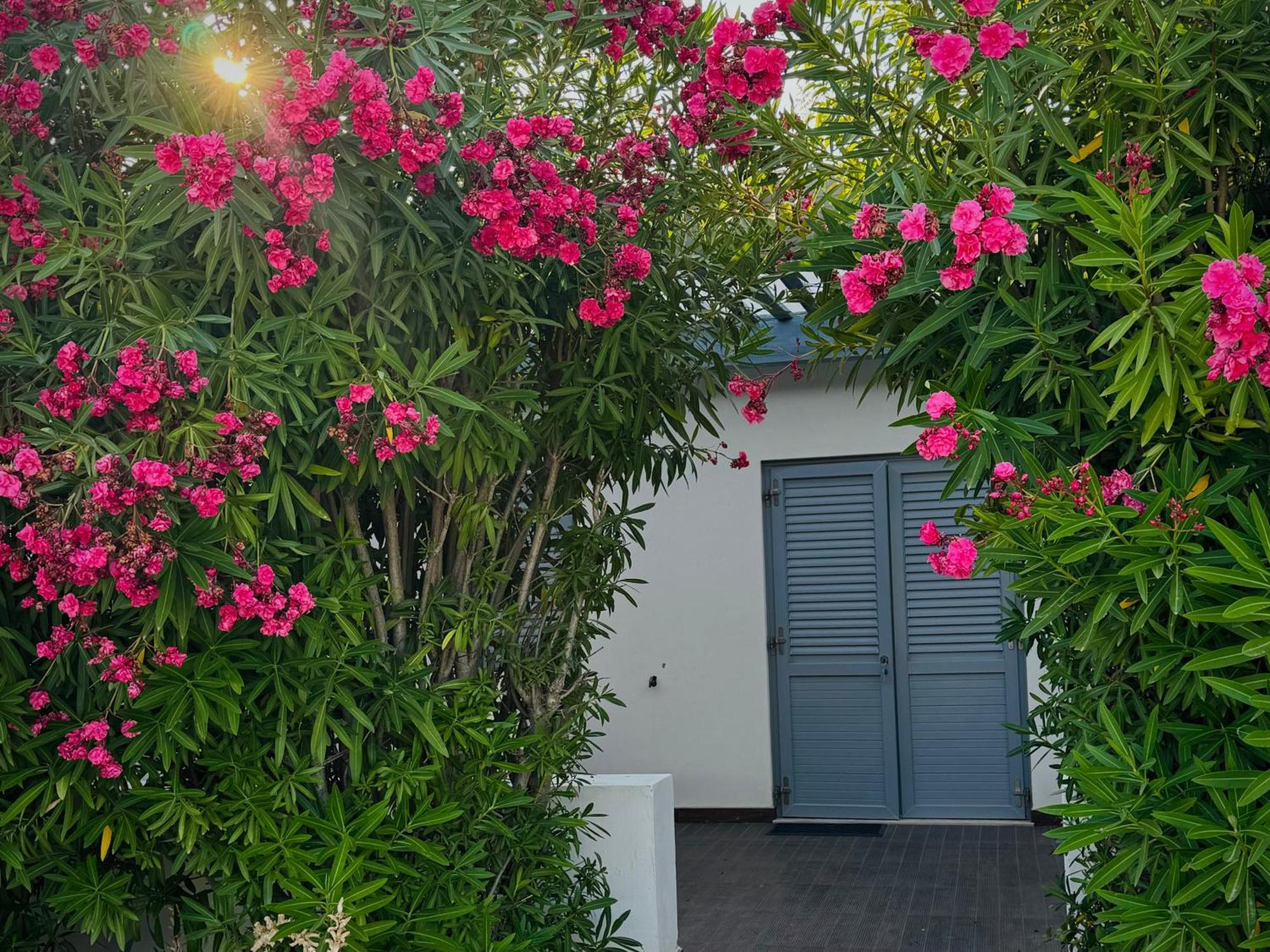Baia Sangiorgio Hotel & Beach Club Bari Exterior photo